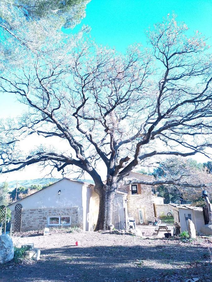 Country house Sous Un Chene Bicentenaire Lambesc